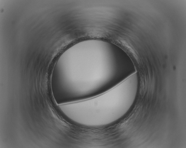 X0000088680492200705311027