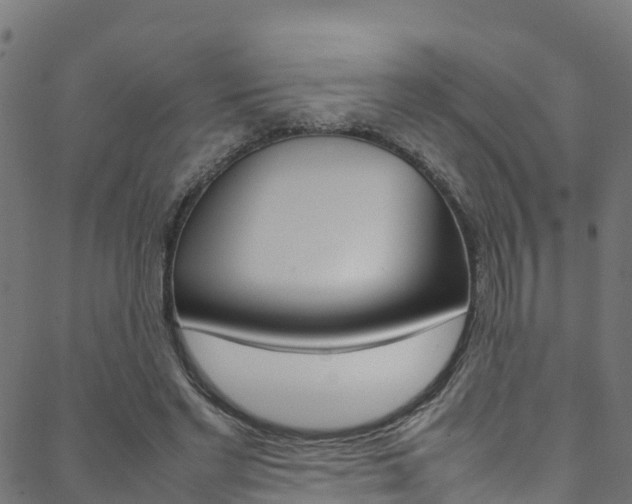 X0000088680493200705311027
