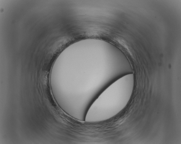 X0000088680495200705311027