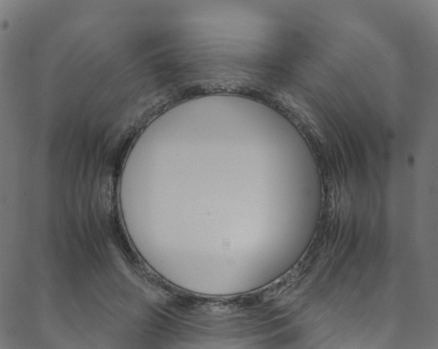 X0000088680498200705311027