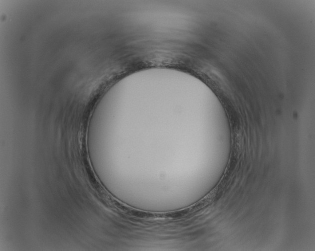 X0000088680499200705311027