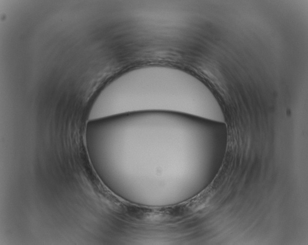 X0000088680504200705311027