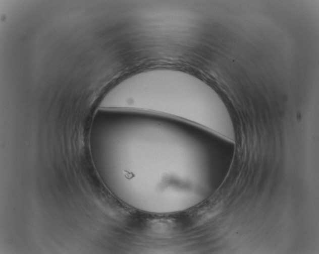 X0000088680508200705311027