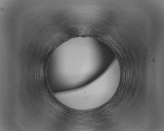 X0000088680516200705311027