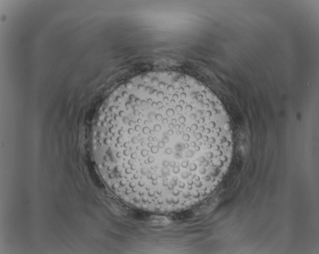 X0000088680519200705311027