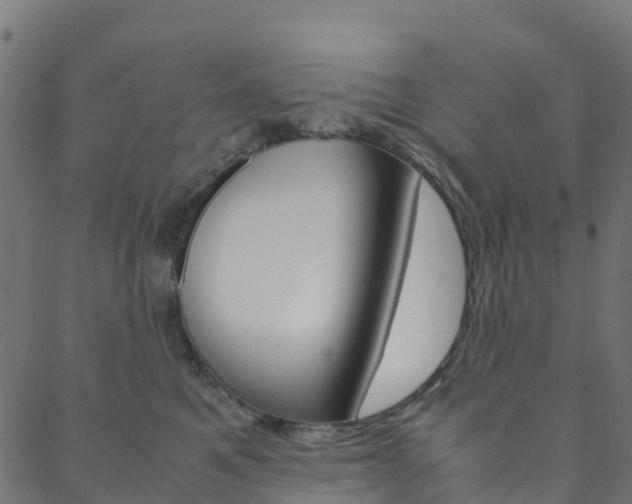 X0000088680521200705311027