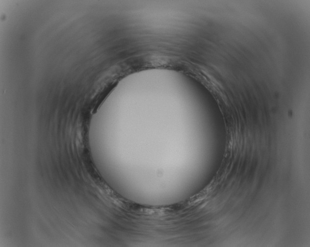 X0000088680524200705311027