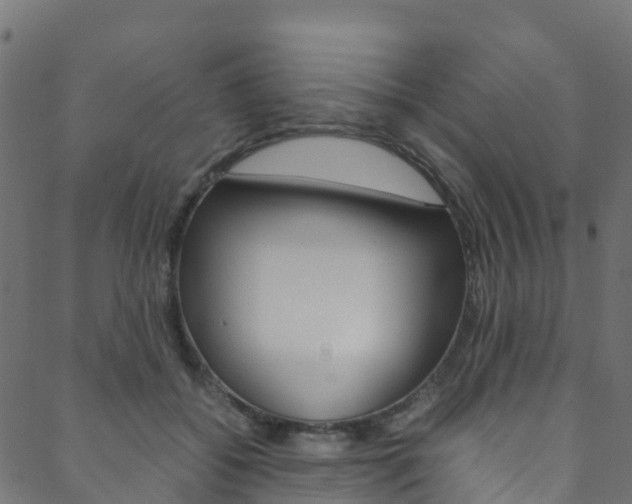 X0000088680556200705311026