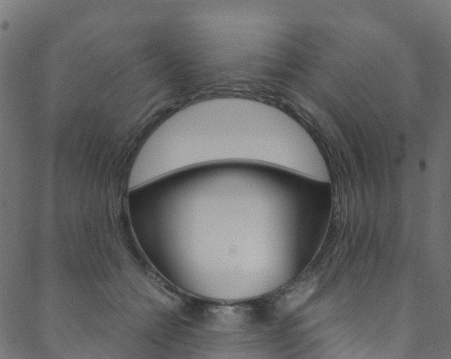 X0000088680558200705311026