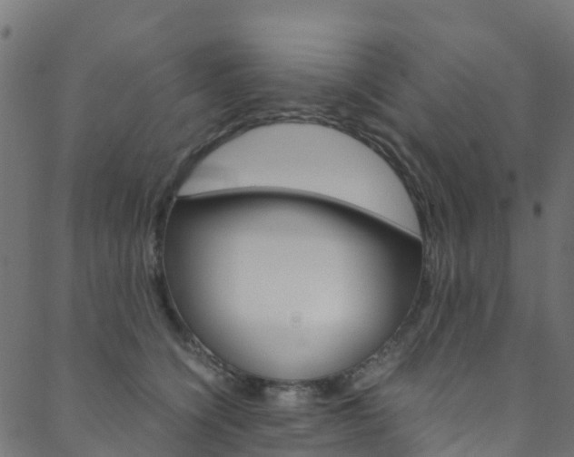 X0000088680564200705311026