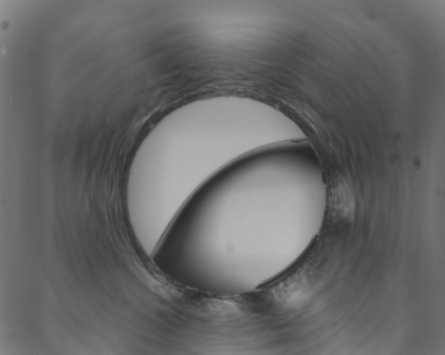 X0000088680572200705311027