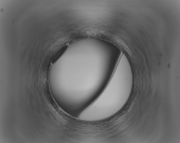 X0000088680593200705311026