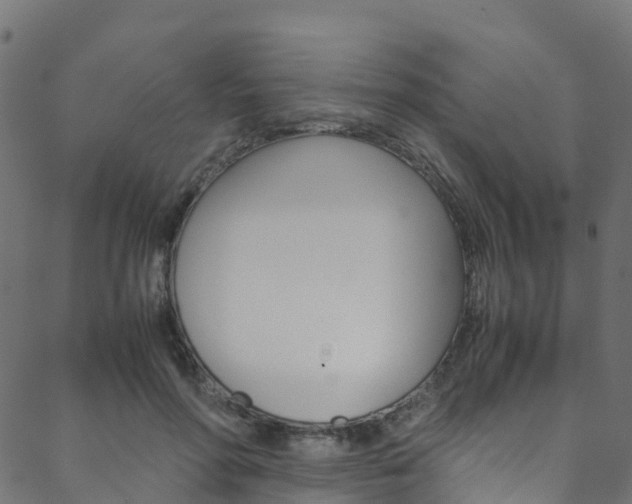 X0000088680598200705311025