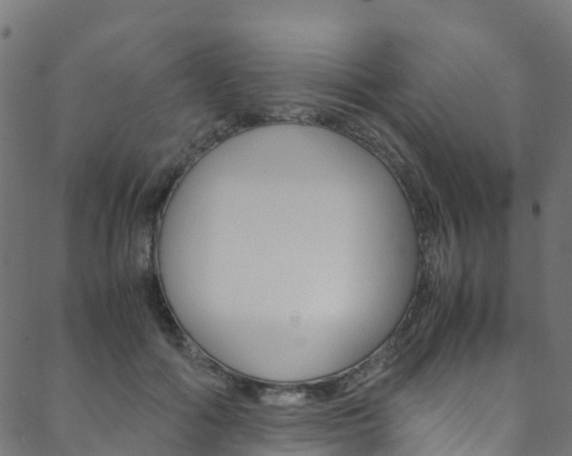 X0000088680602200705311025