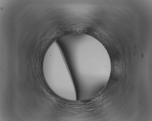 X0000088680615200705311025