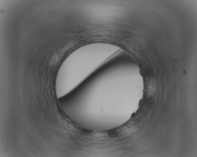 X0000088680619200705311025