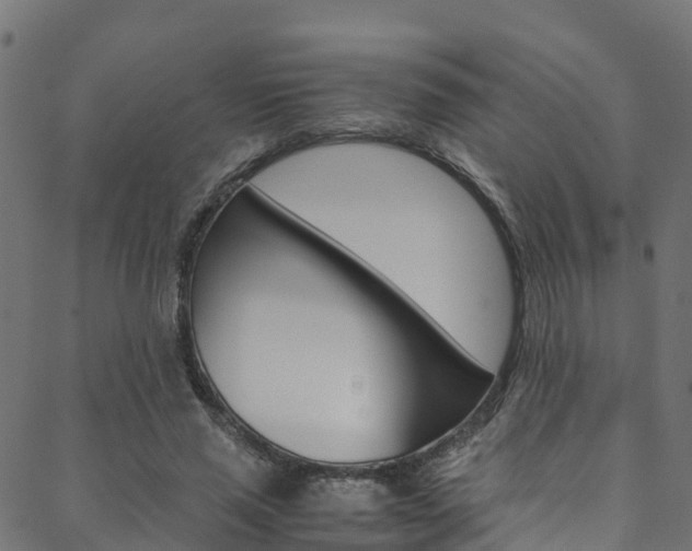 X0000088680637200705311024