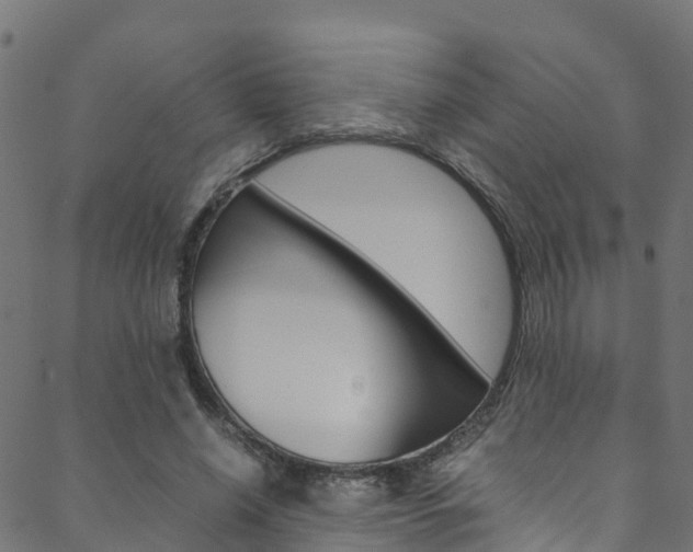 X0000088680638200705311024