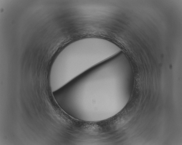 X0000088680642200705311025