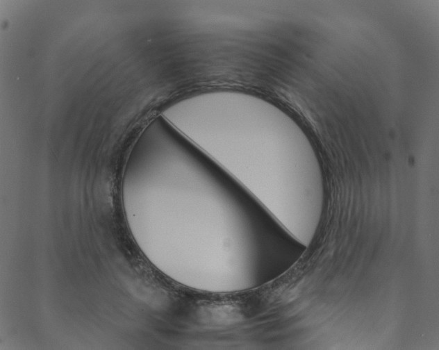 X0000088680643200705311025