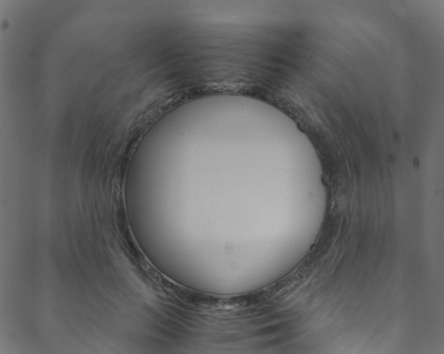 X0000088680647200705311025