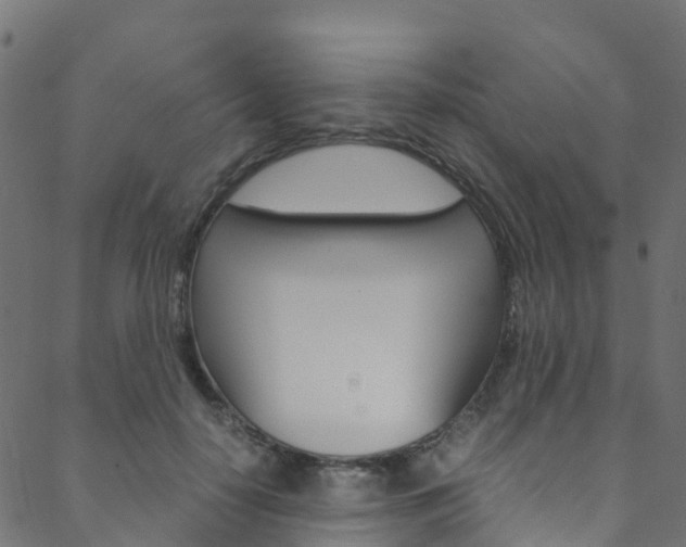 X0000088680650200705311025