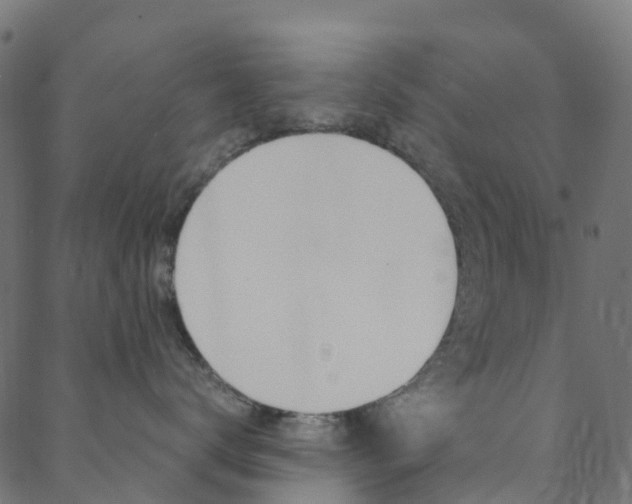 X0000088680672200705311025