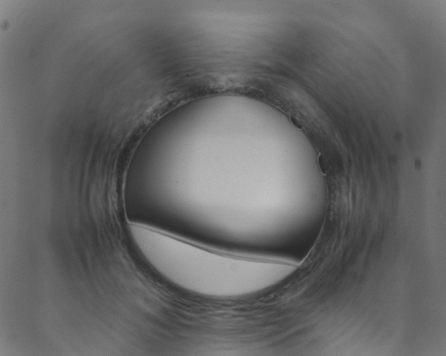 X0000088680700200705311024