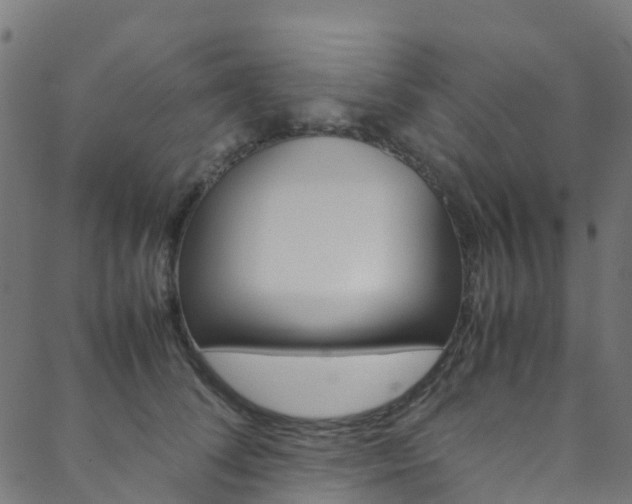 X0000088680708200705311024