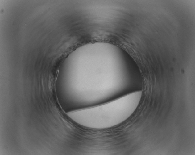 X0000088680712200705311024