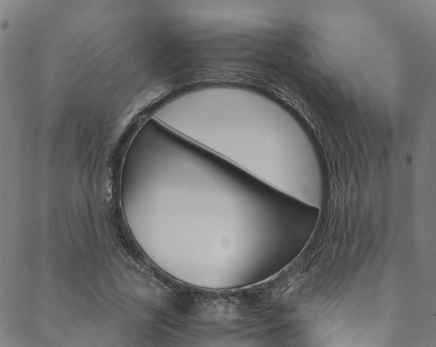 X0000088680731200705311023