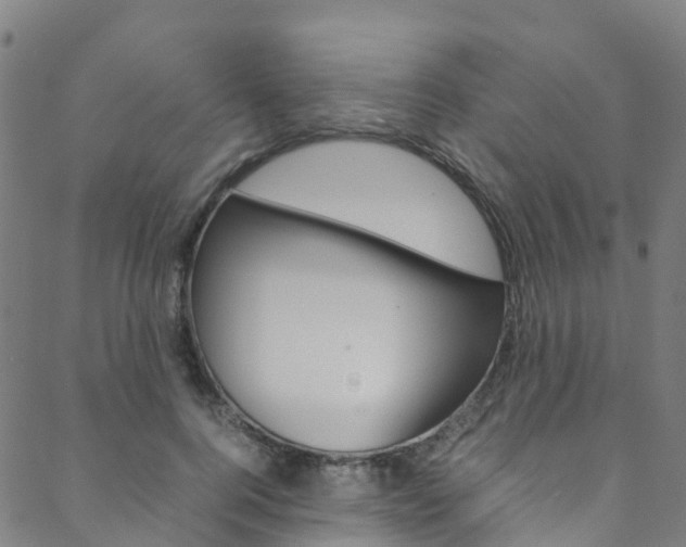 X0000088680744200705311023