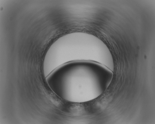 X0000088680750200705311023