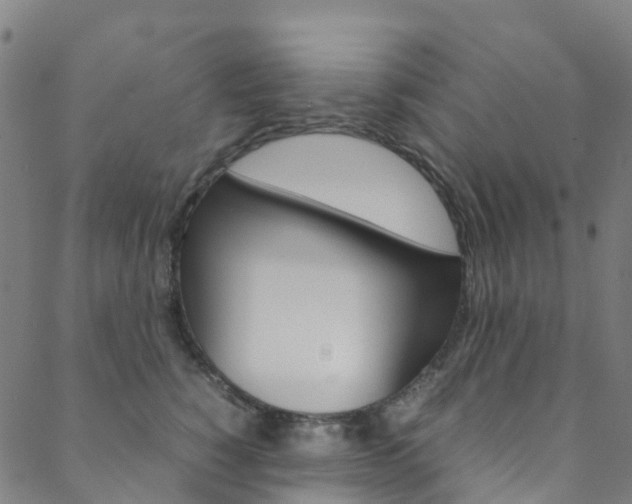 X0000088680760200705311023