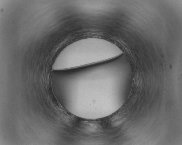 X0000088680763200705311023