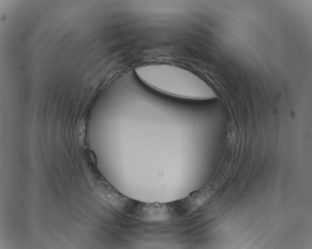X0000088680767200705311023