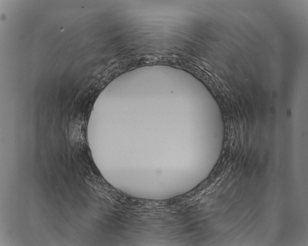 X0000088680770200705311023