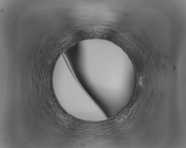 X0000088680771200705311023