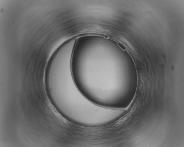 X0000088680788200705311022