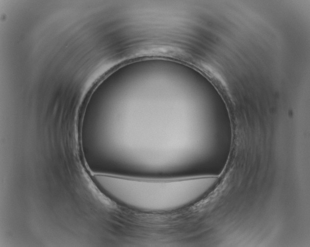 X0000088680792200705311022