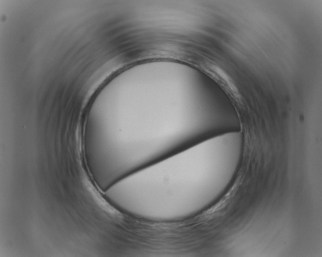 X0000088680796200705311022