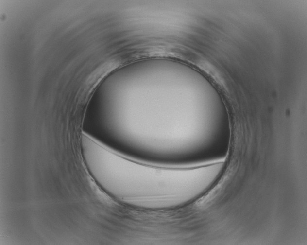 X0000088680801200705311022