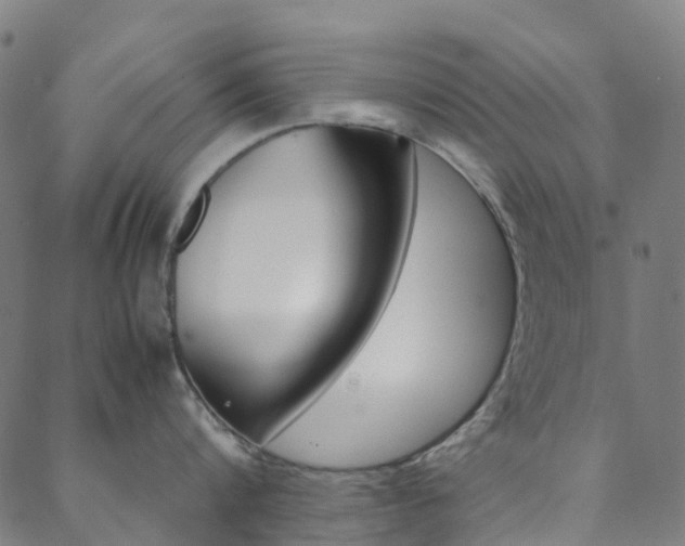 X0000088680816200705311022