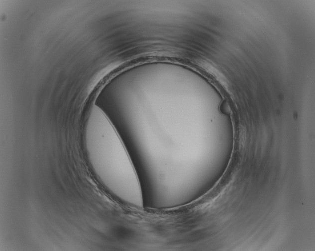 X0000088680829200705311021