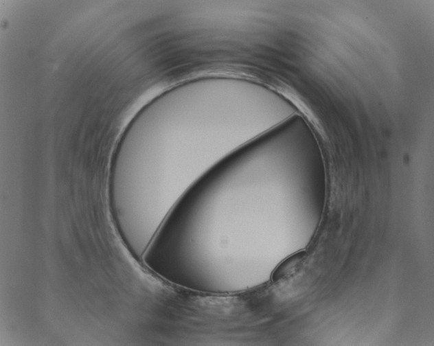 X0000088680853200705311022