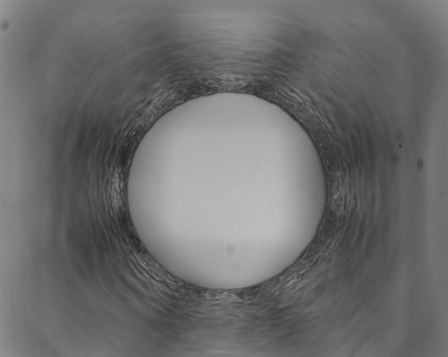 X0000088680866200705311021