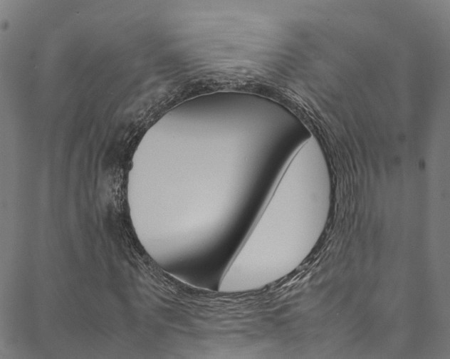 X0000088680867200705311021
