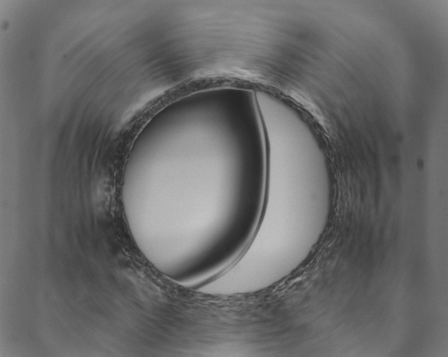 X0000088680872200705311021