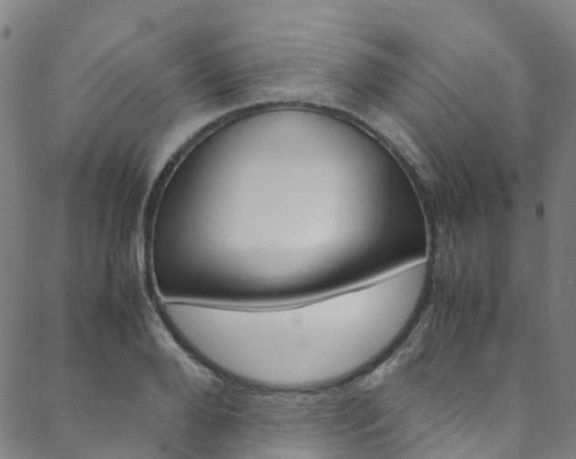 X0000088680888200705311021