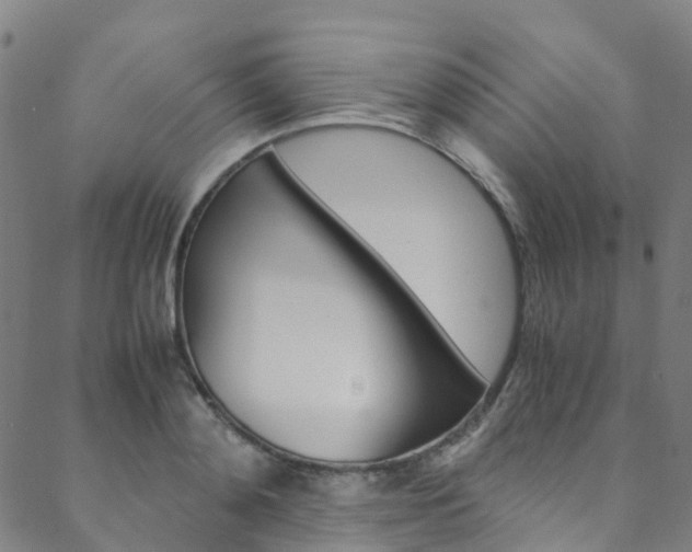 X0000088680892200705311021